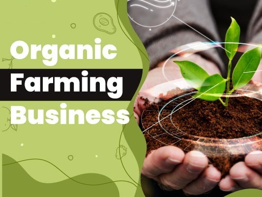 Organic Farming Techniques for Beginners