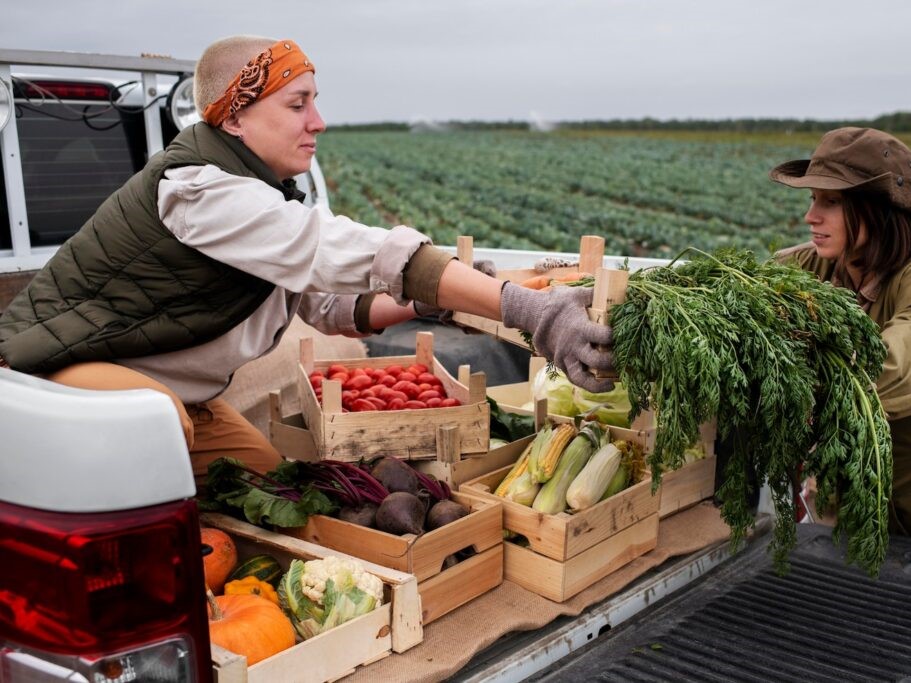 Farm-to-Table: Understanding Food Supply Chains