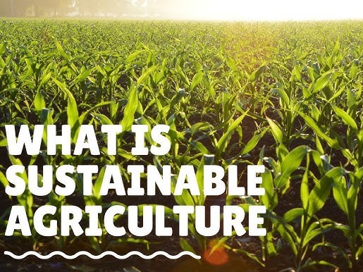 Sustainable Agriculture and Food Security